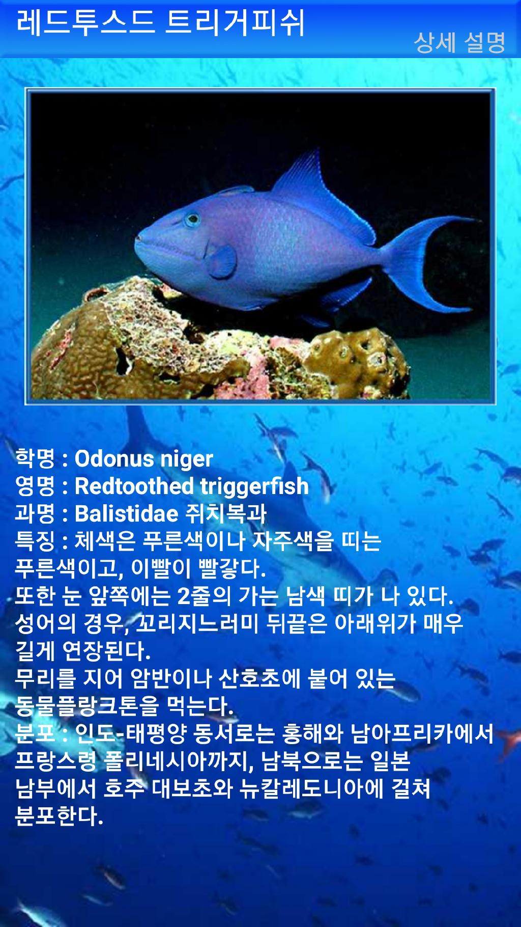 툴람밴 - 리버티호난파선
