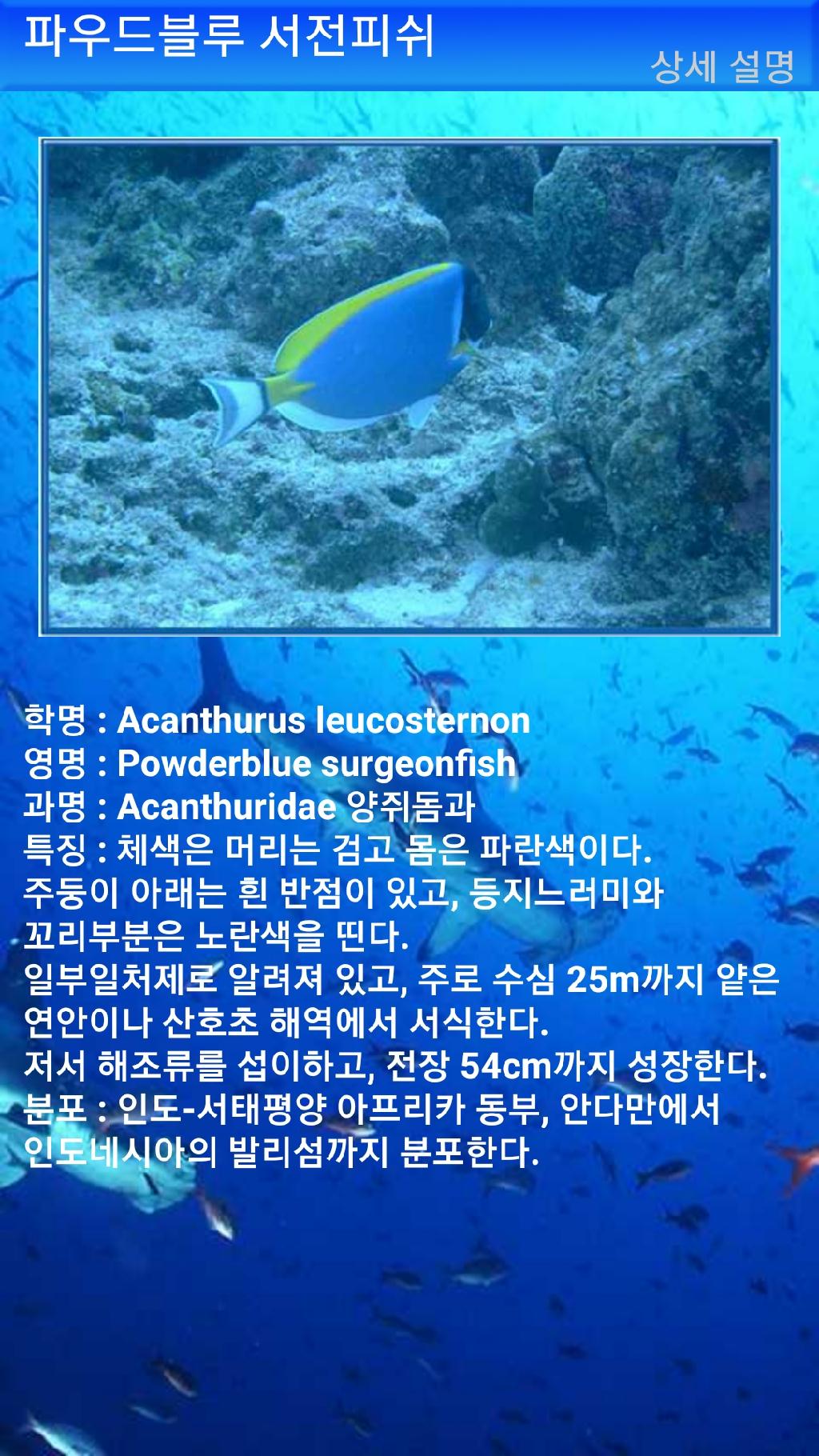 툴람밴 - 리버티호난파선
