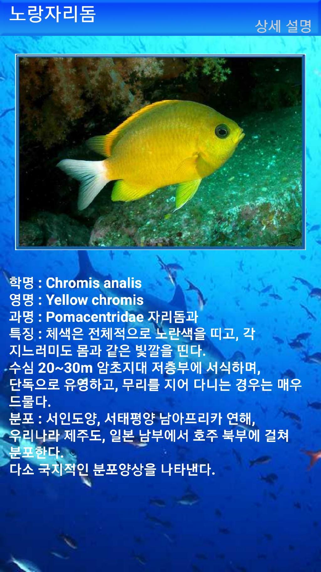 아메드 - 드롭오프