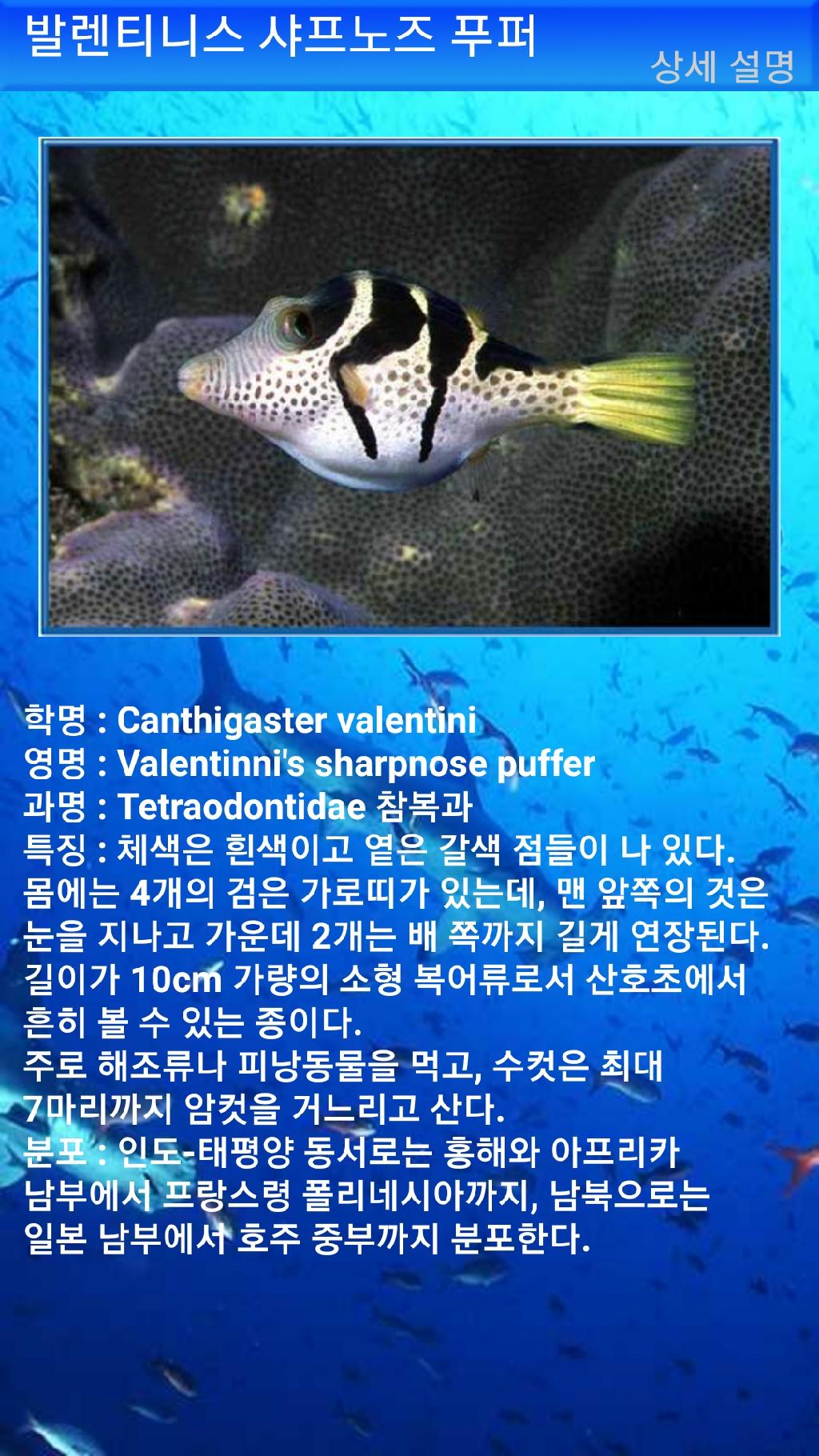 툴람밴 - 리버티호난파선