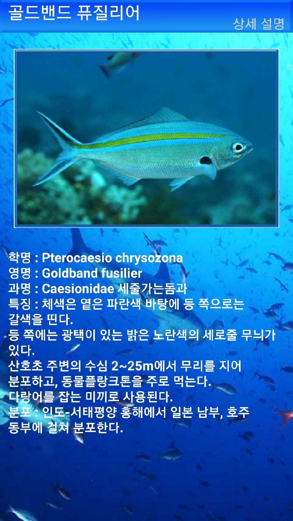 아메드 - 드롭오프