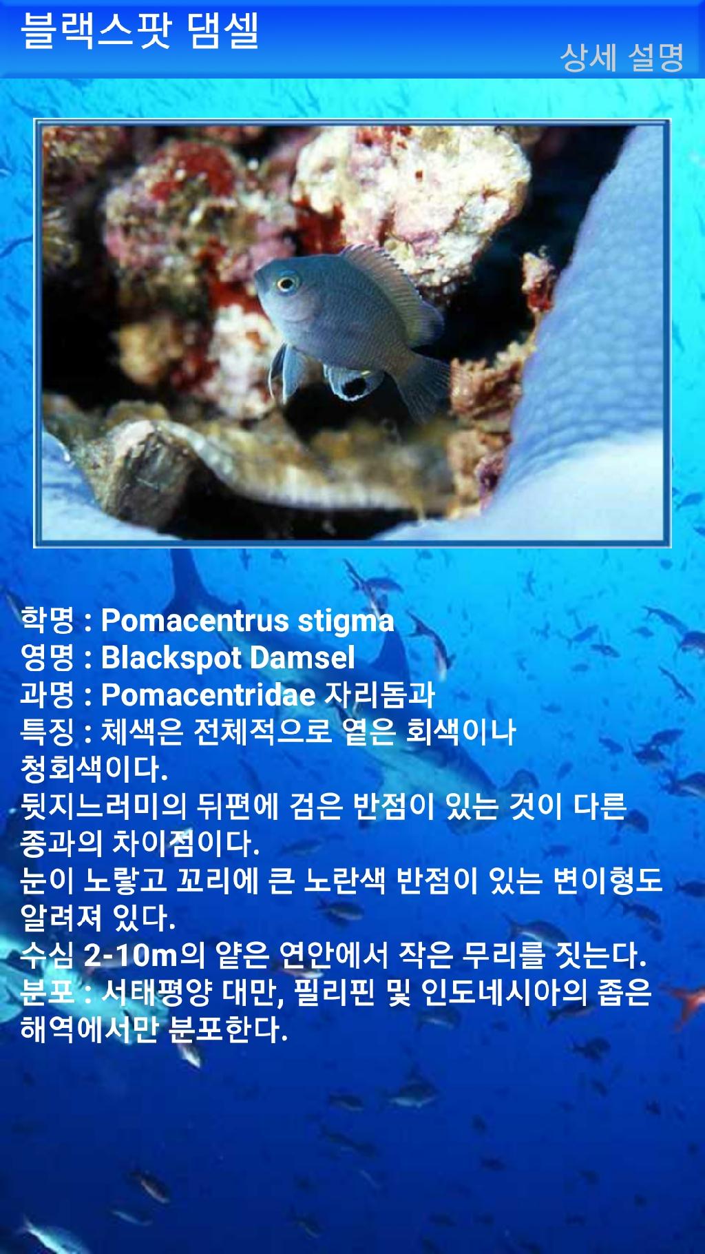 아메드 - 드롭오프