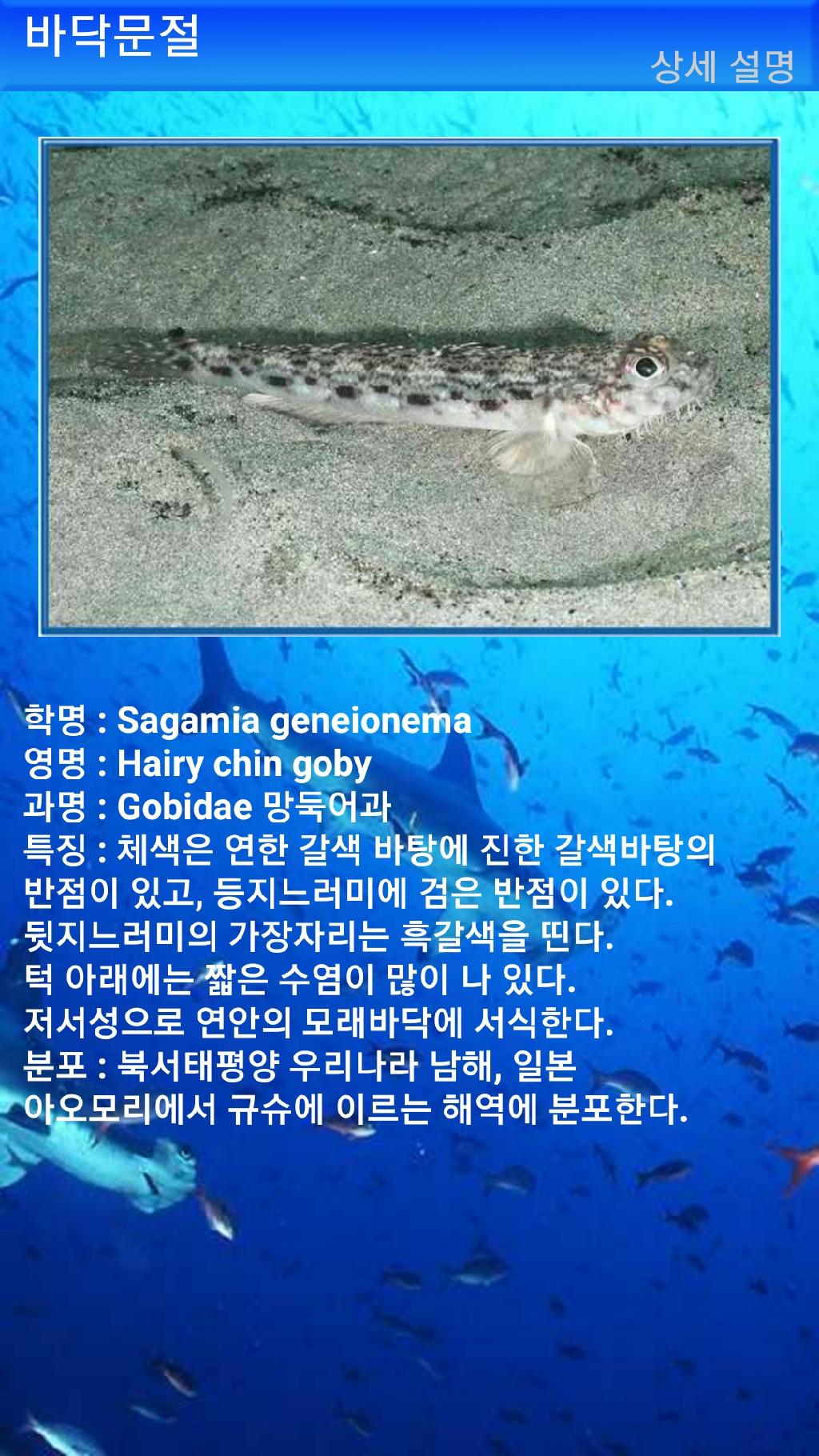 툴람밴 - 리버티호난파선