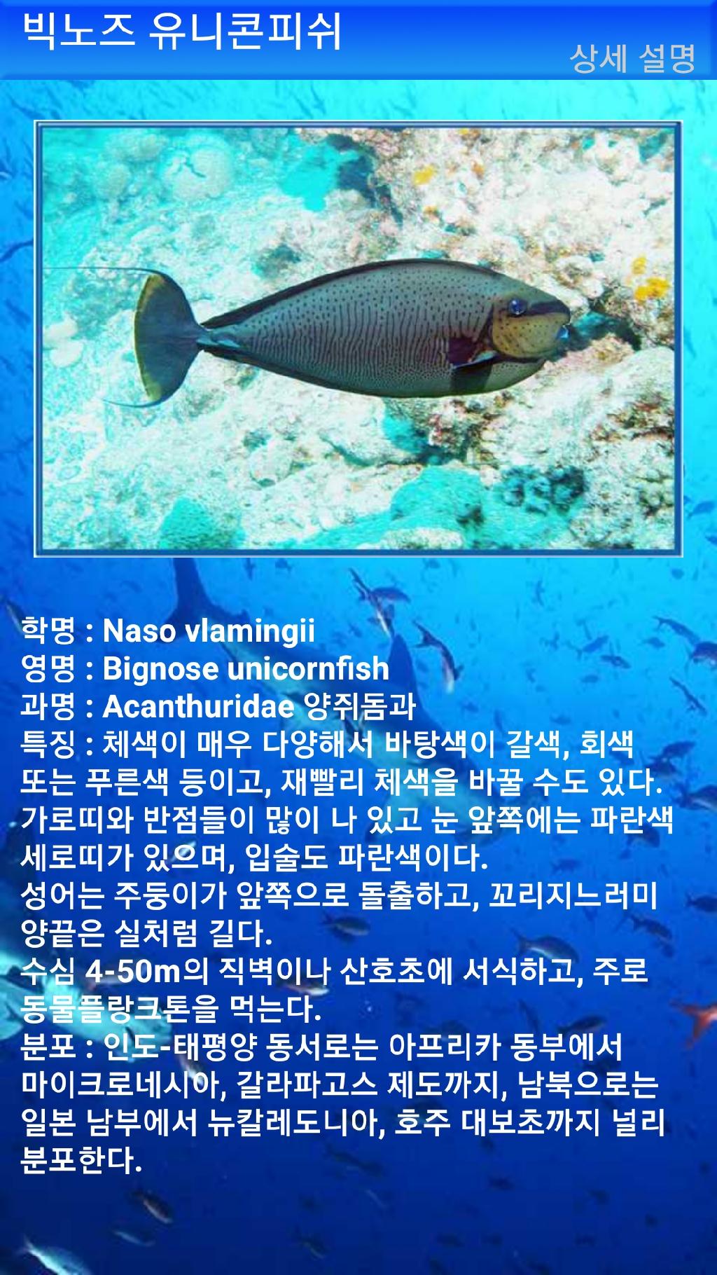 펀다이빙 - 빠당바이 - 딴중붕실