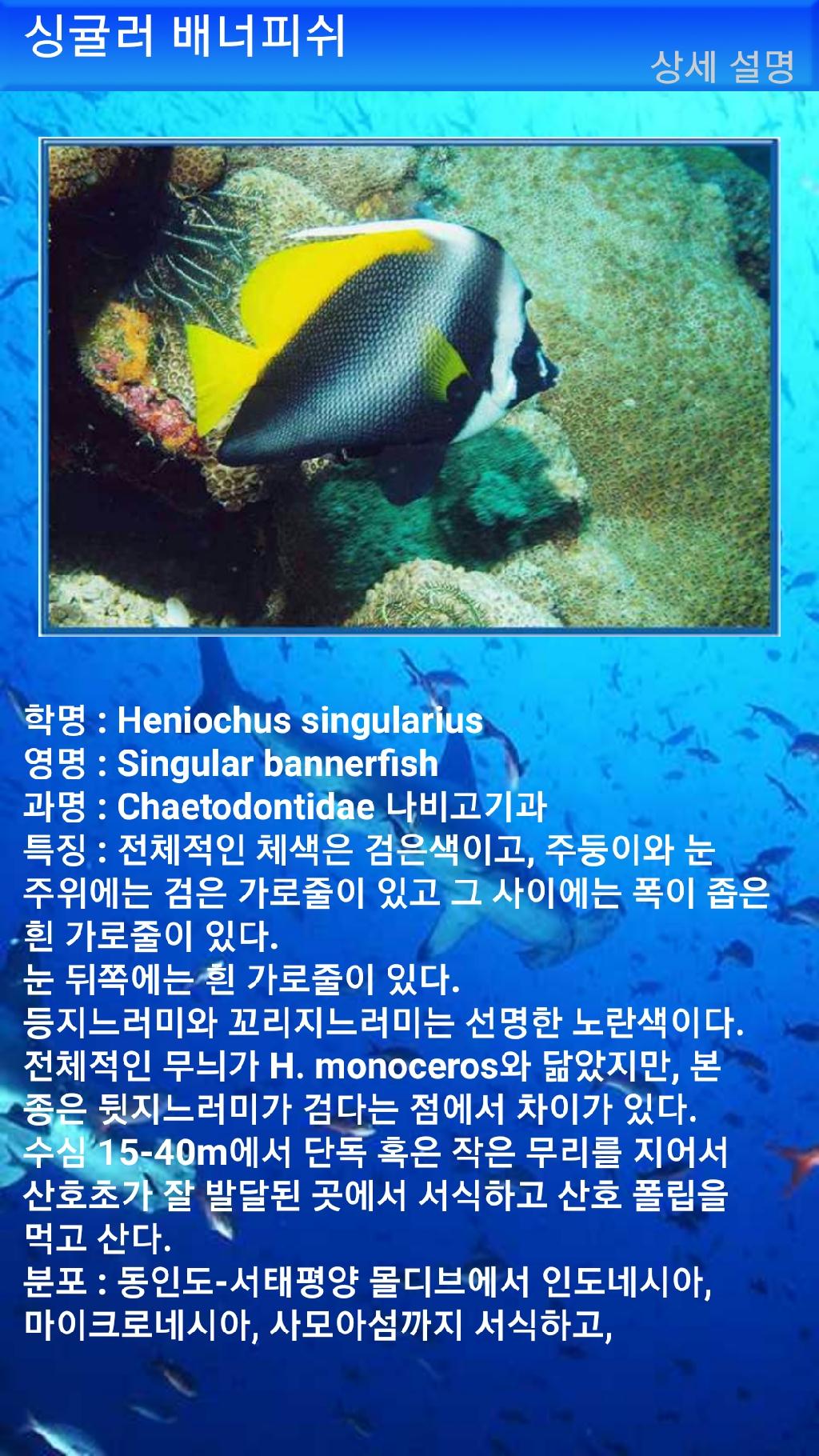 누사페니다 - 만타포인트