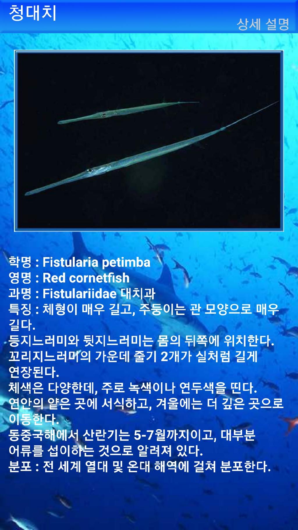 아메드 - 드롭오프