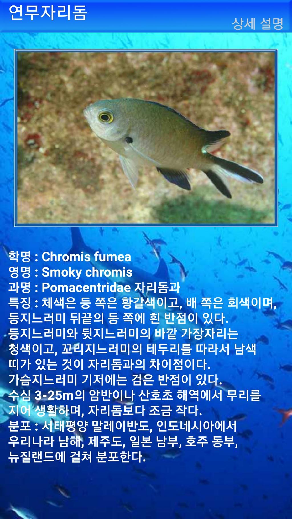 누사페니다 - 만타포인트