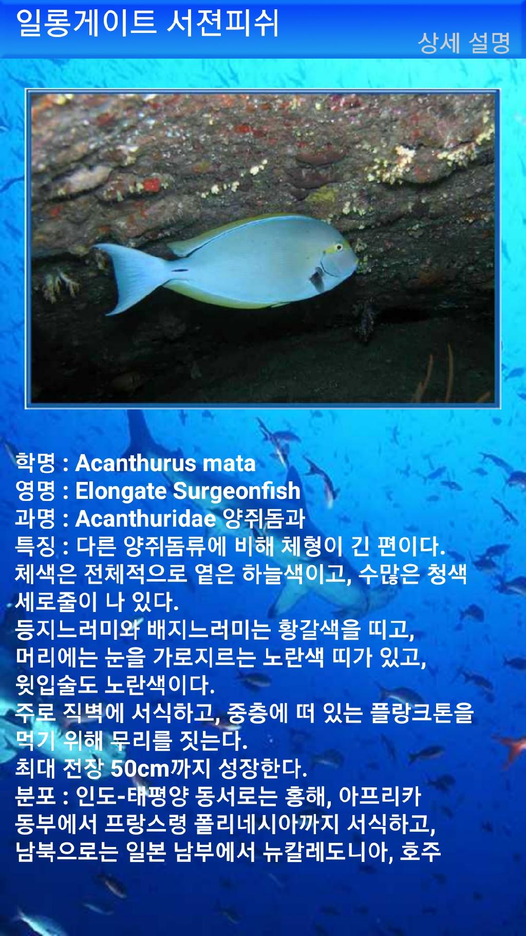 툴람밴 - 리버티호난파선