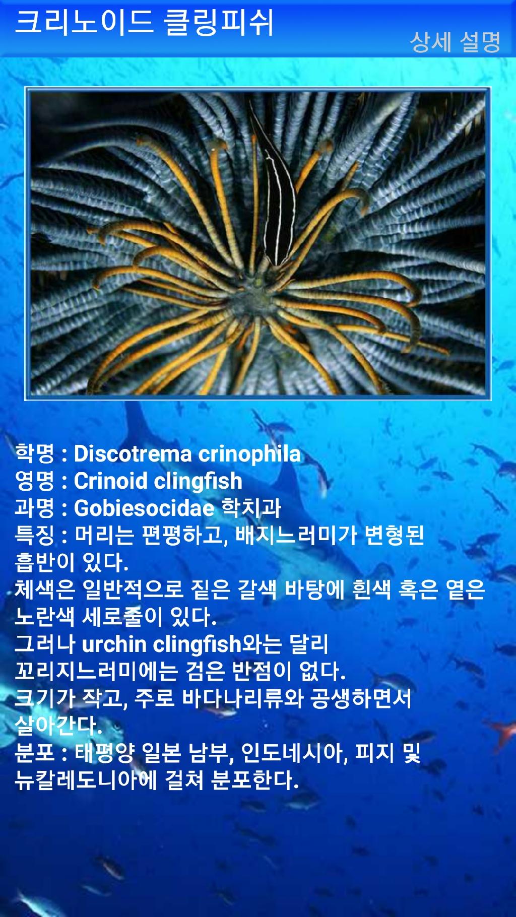 아메드 - 드롭오프