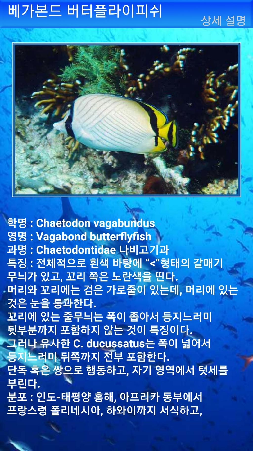 누사페니다 - 만타포인트
