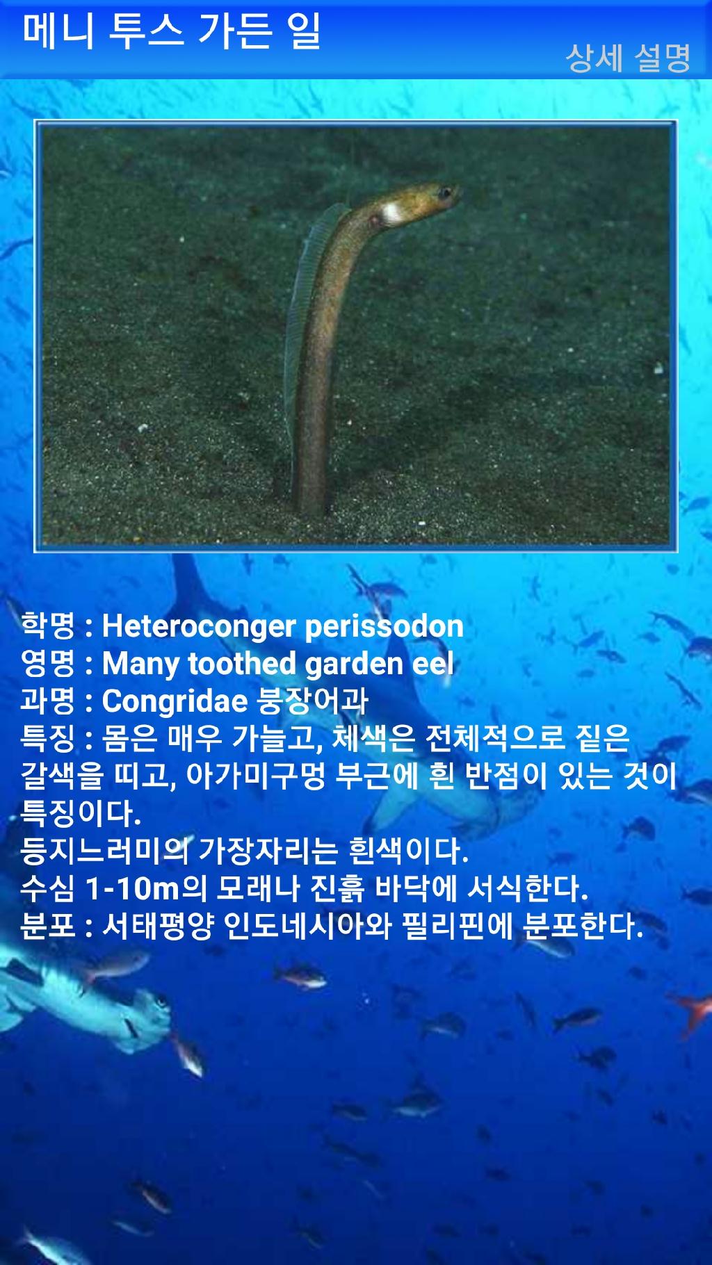 툴람밴 - 리버티호난파선