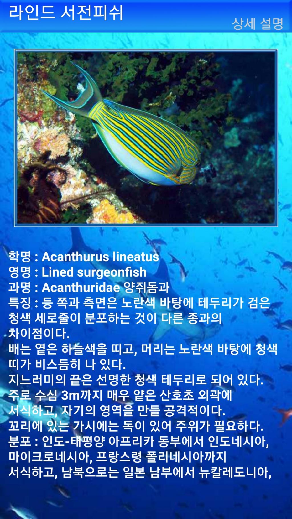 아메드 - 드롭오프