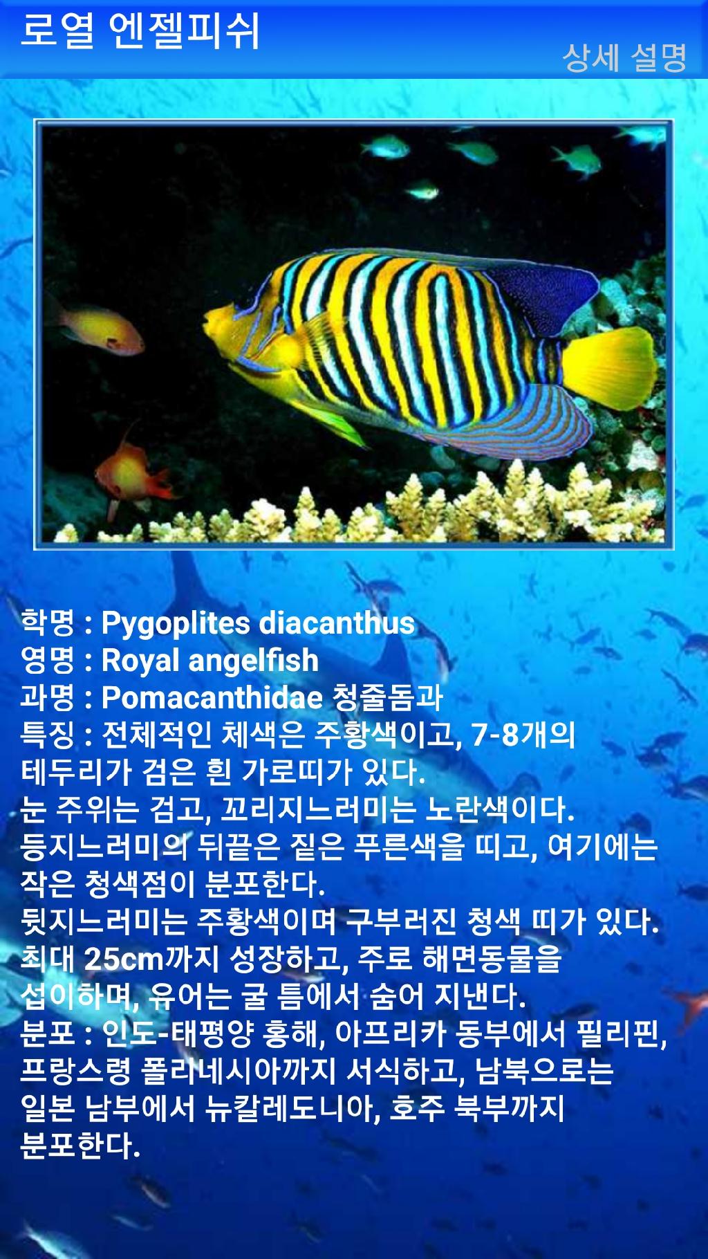 아메드 - 드롭오프