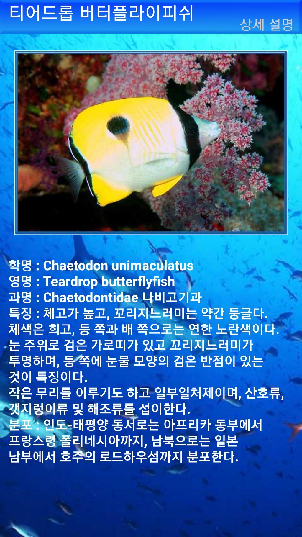 아메드 - 드롭오프