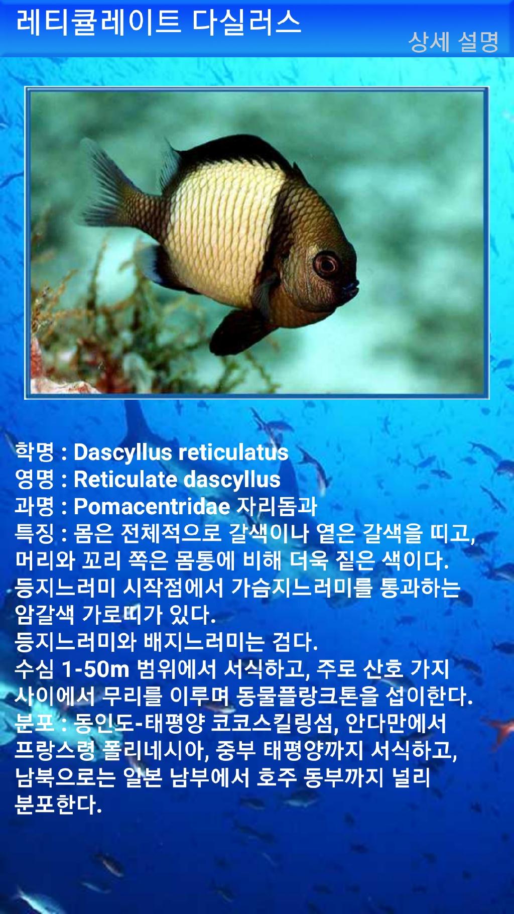 아메드 - 드롭오프