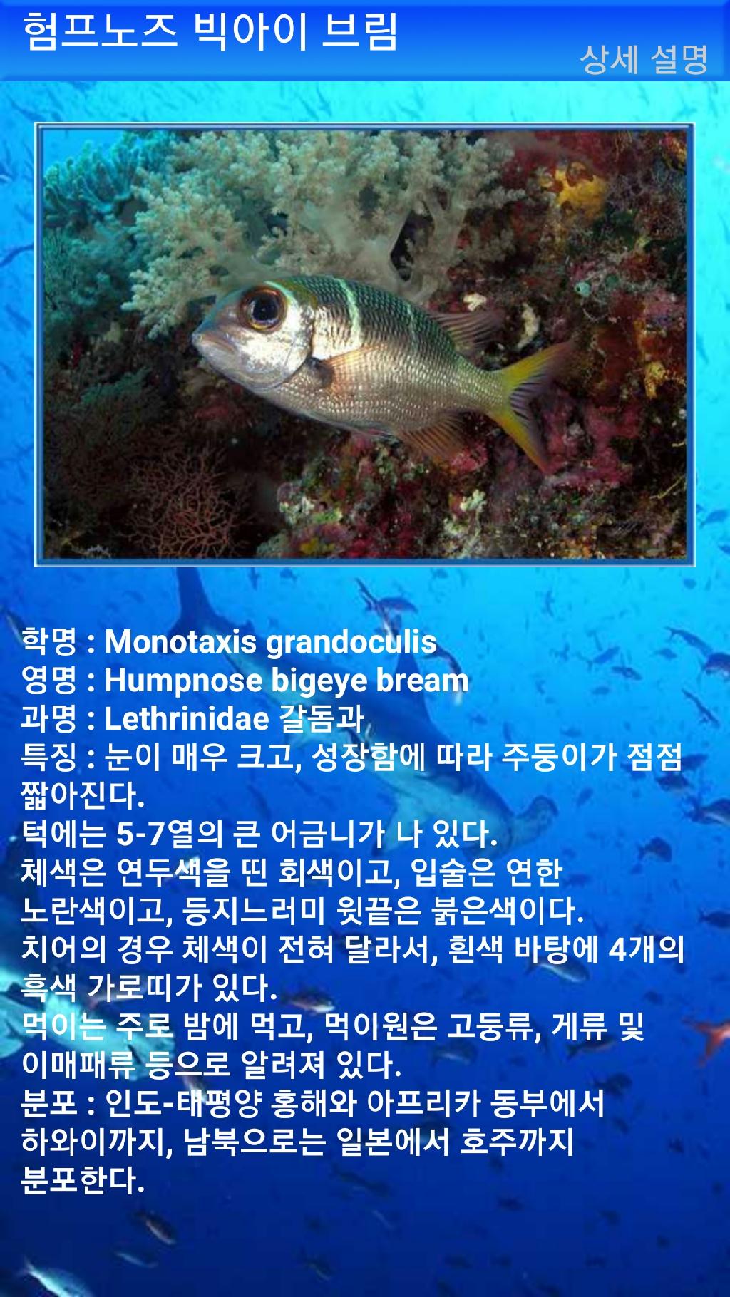 아메드 - 드롭오프