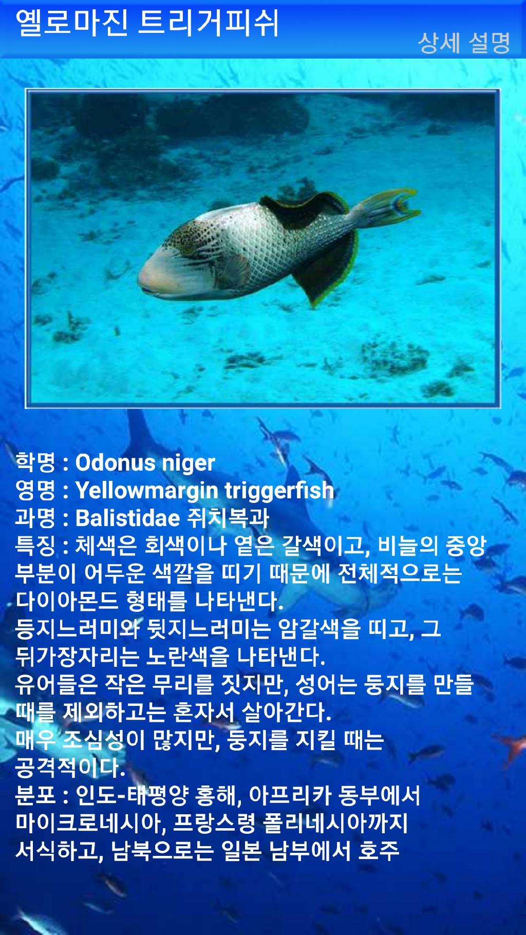 아메드 - 드롭오프