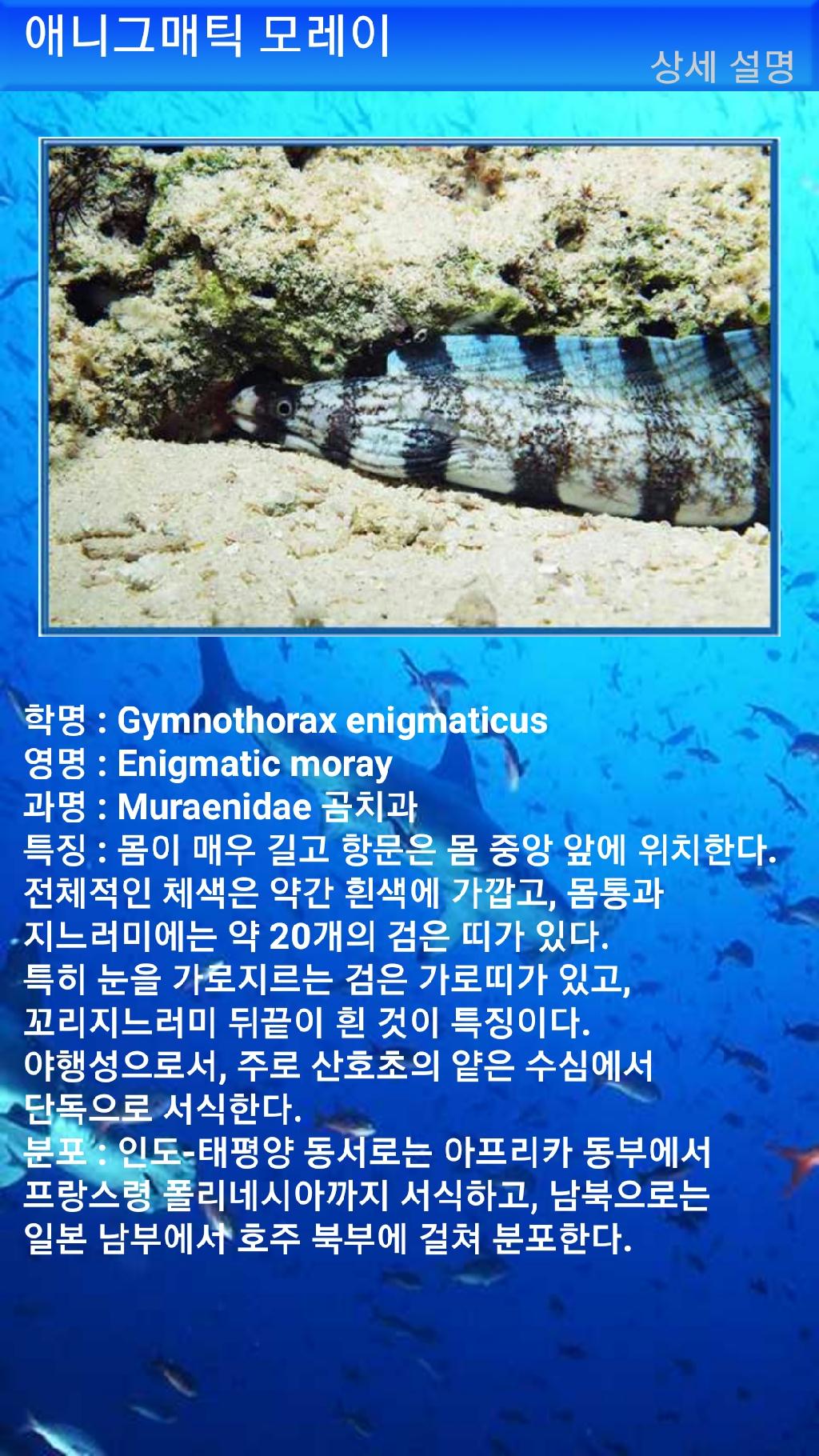 펀다이빙 - 빠당바이 - 딴중붕실