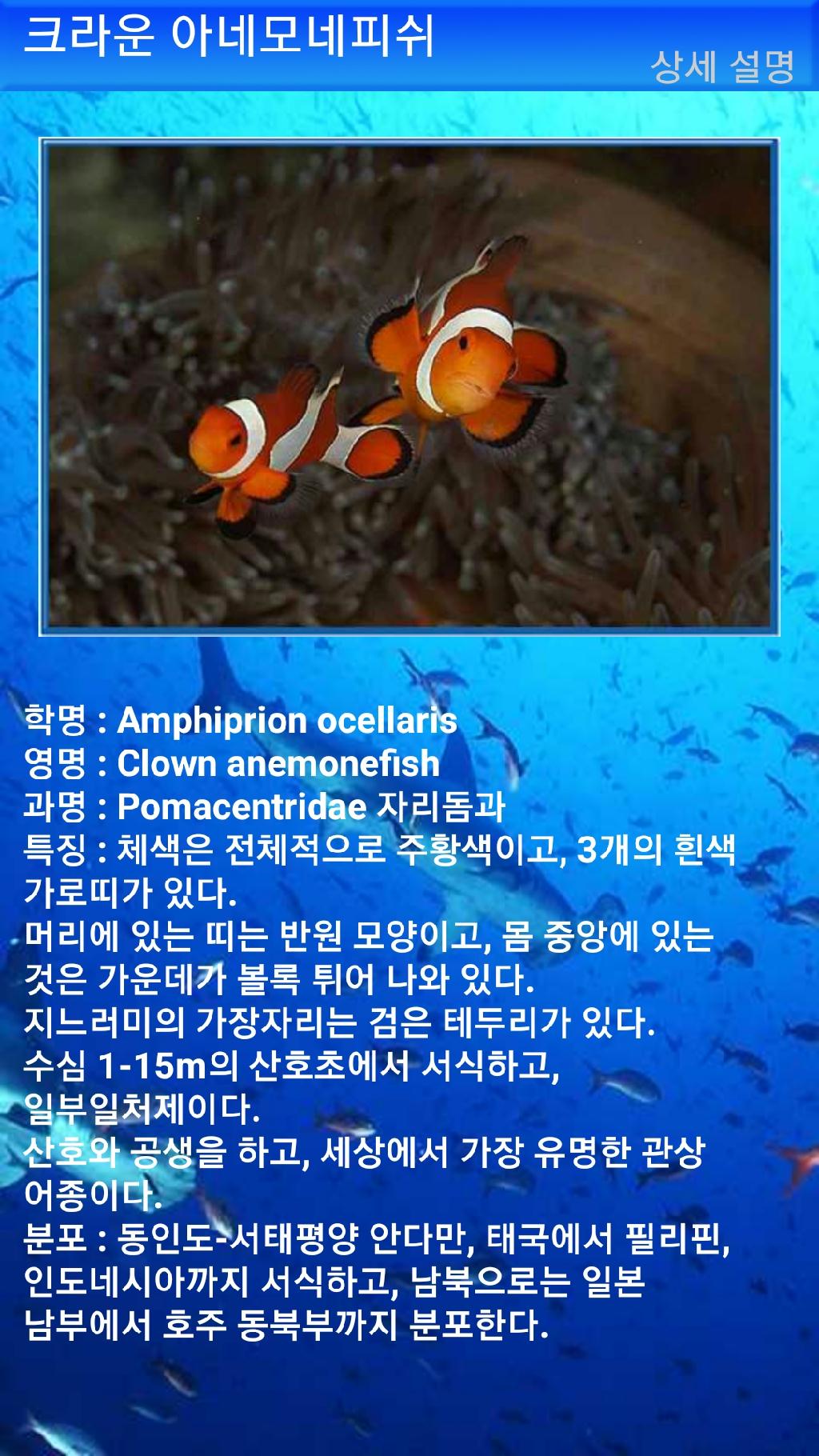 아메드 - 드롭오프