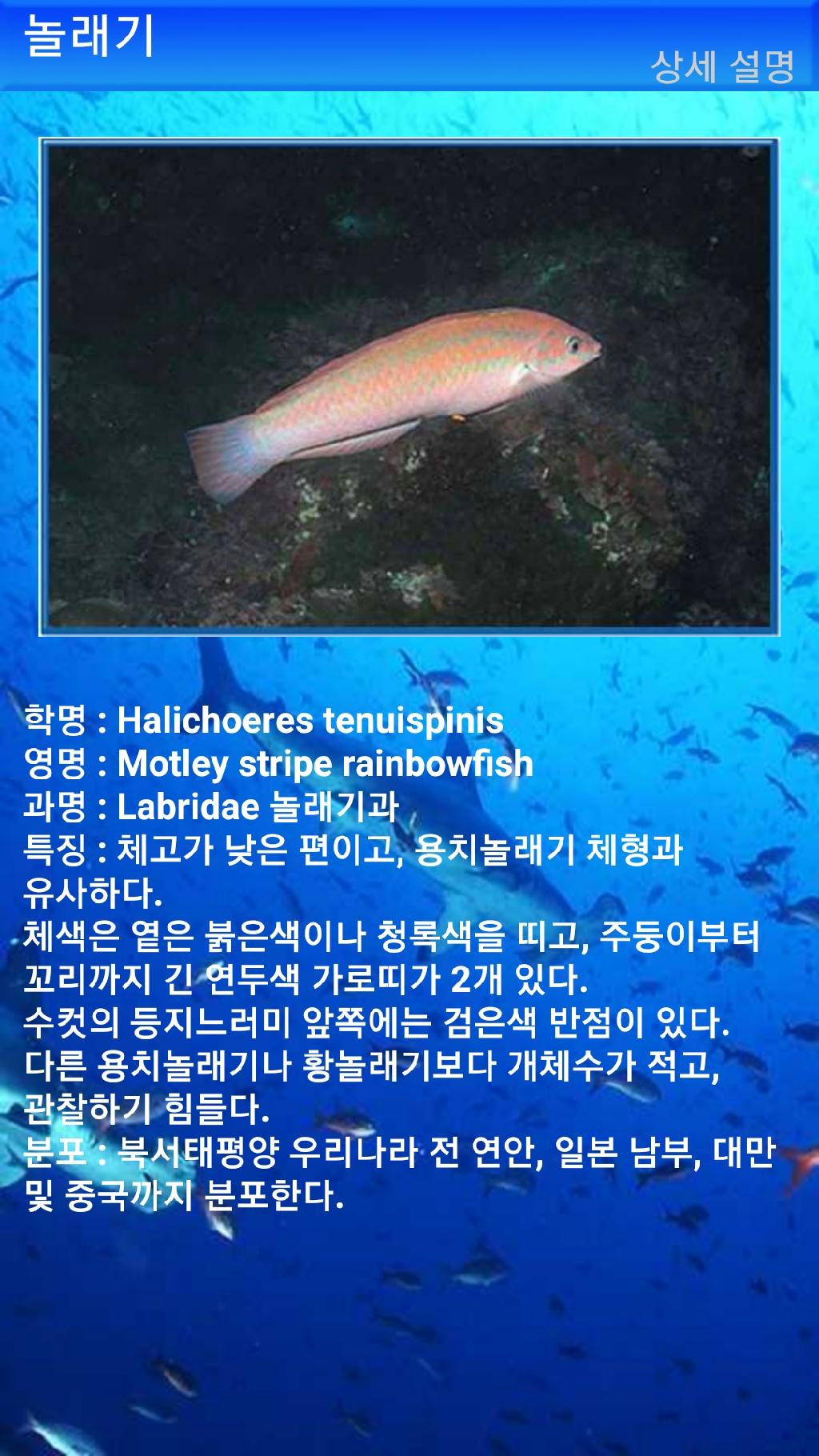 아메드 - 드롭오프