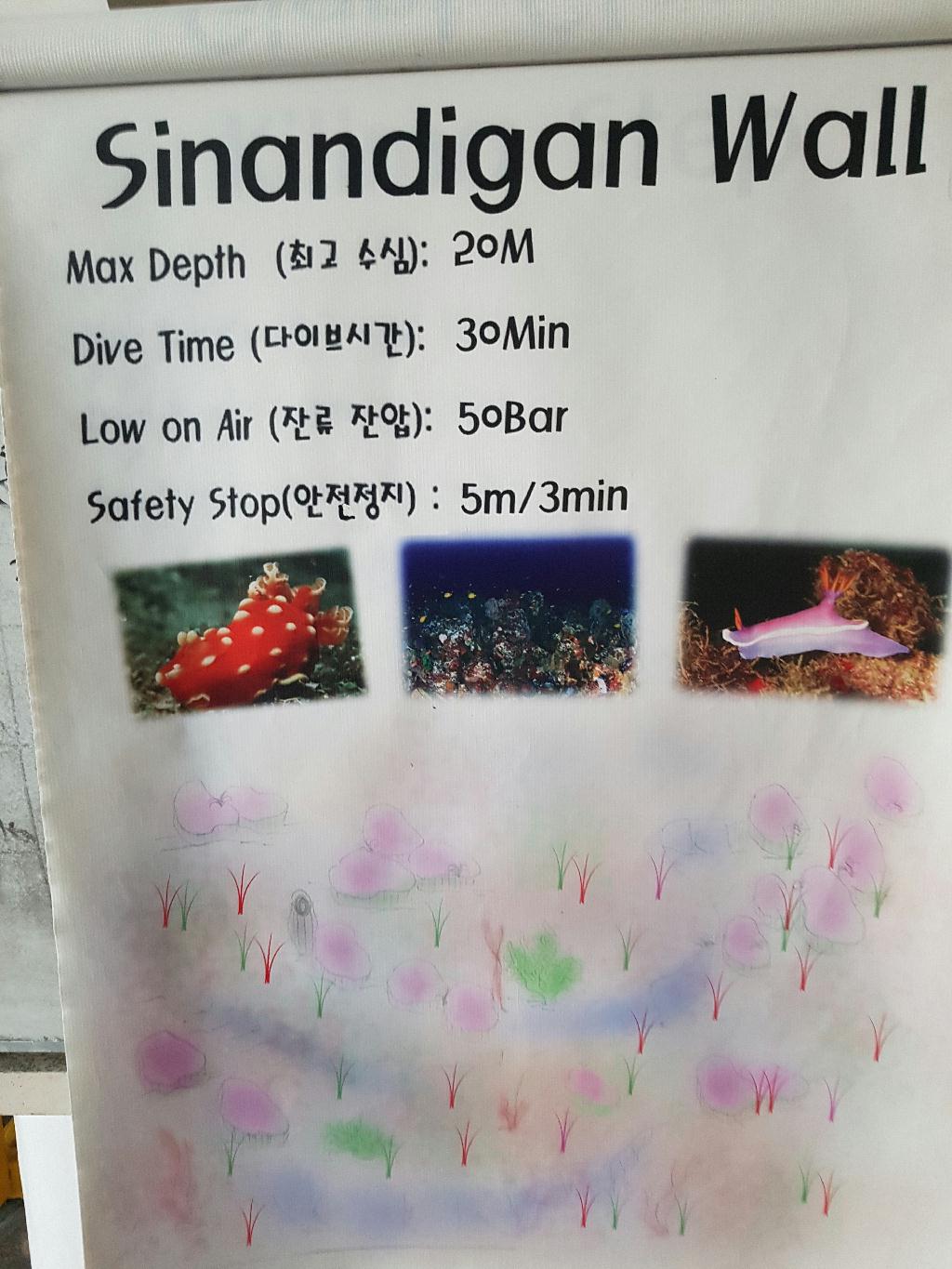펀다이빙 사방2-8 - sabang beach - sinandigan wall