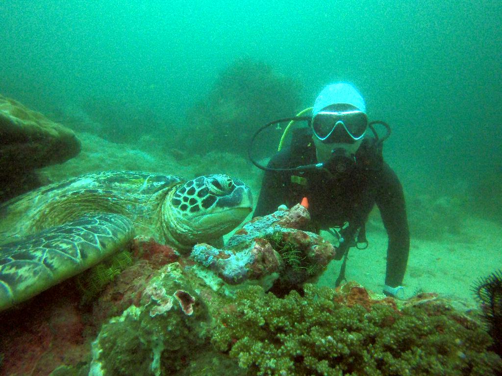 펀다이빙 사방 2-2 - sabang beach - sabang point