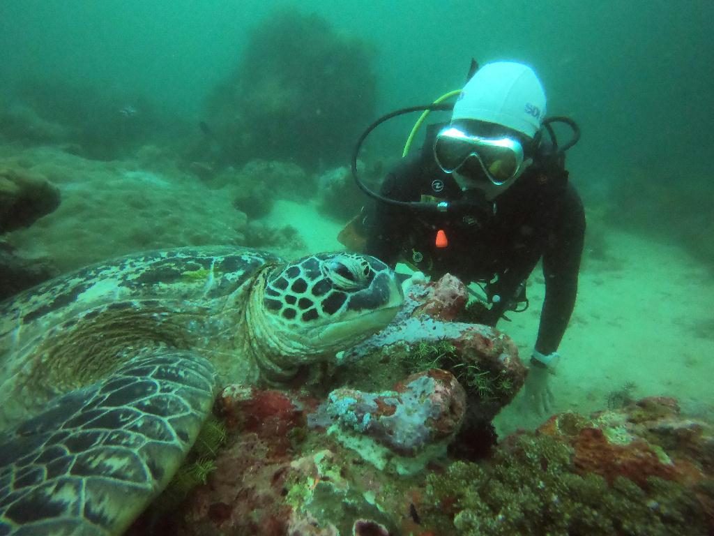 펀다이빙 사방 2-2 - sabang beach - sabang point