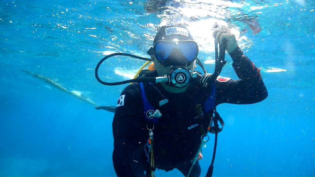 Apo Island 투어 - Cebu Liloan Kingdom resort - Apo Island Katiponan