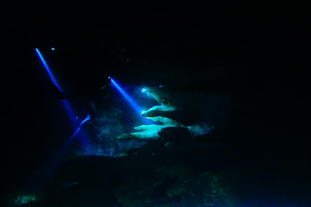팔라우11 Chandelier cave - 동굴 포인트
