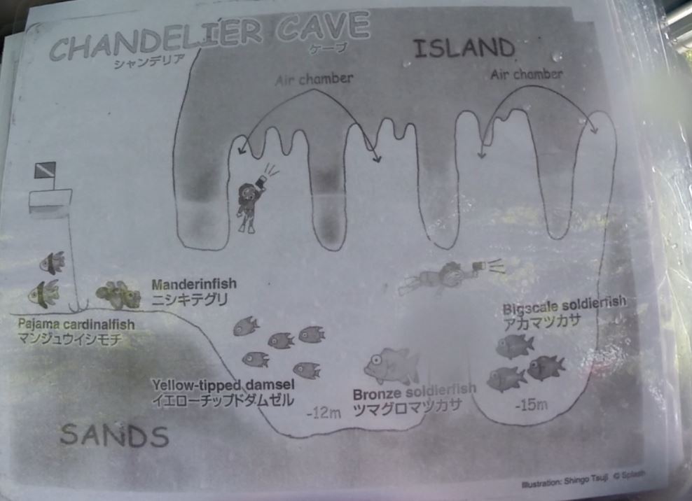 팔라우11 Chandelier cave - 동굴 포인트