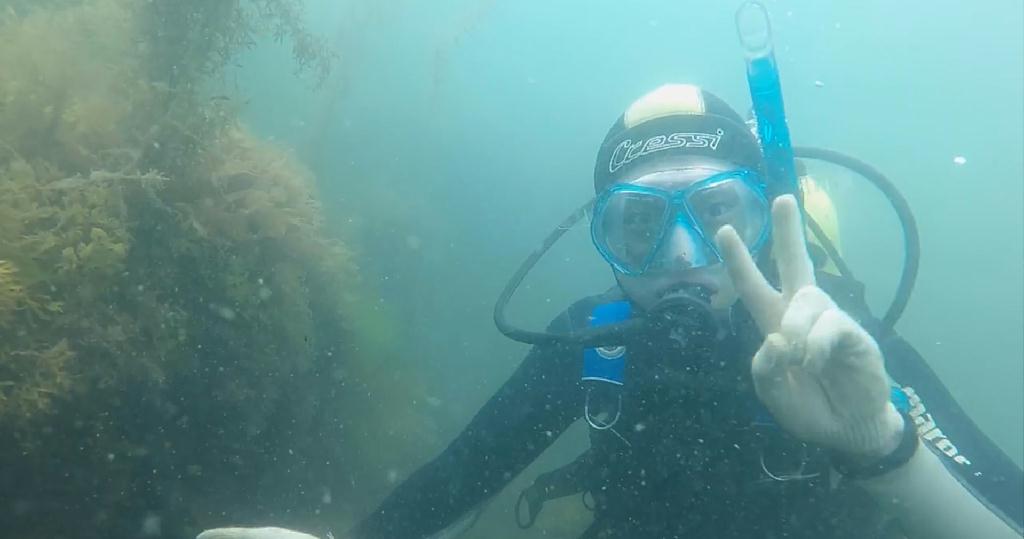 경상대학교 해조자원학 연구실 괭생이모자반 수중조사 - 통영 (수중조사) - 통영 마리나리조트