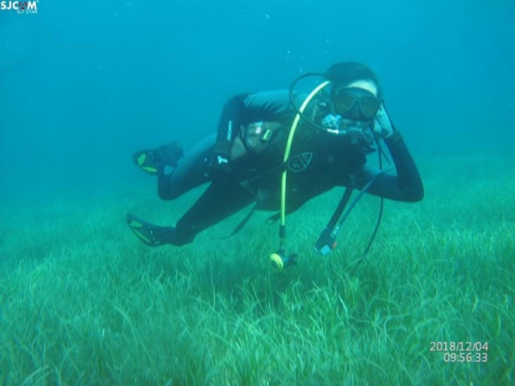 세부 - 픈다은가뇨