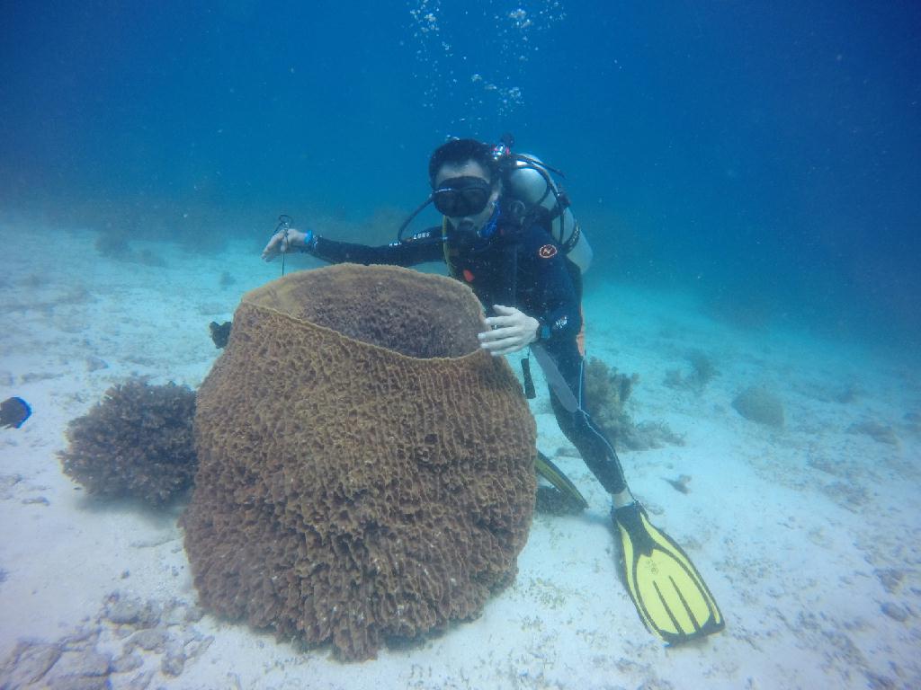 보홀-팡라오 - 칼리파얀