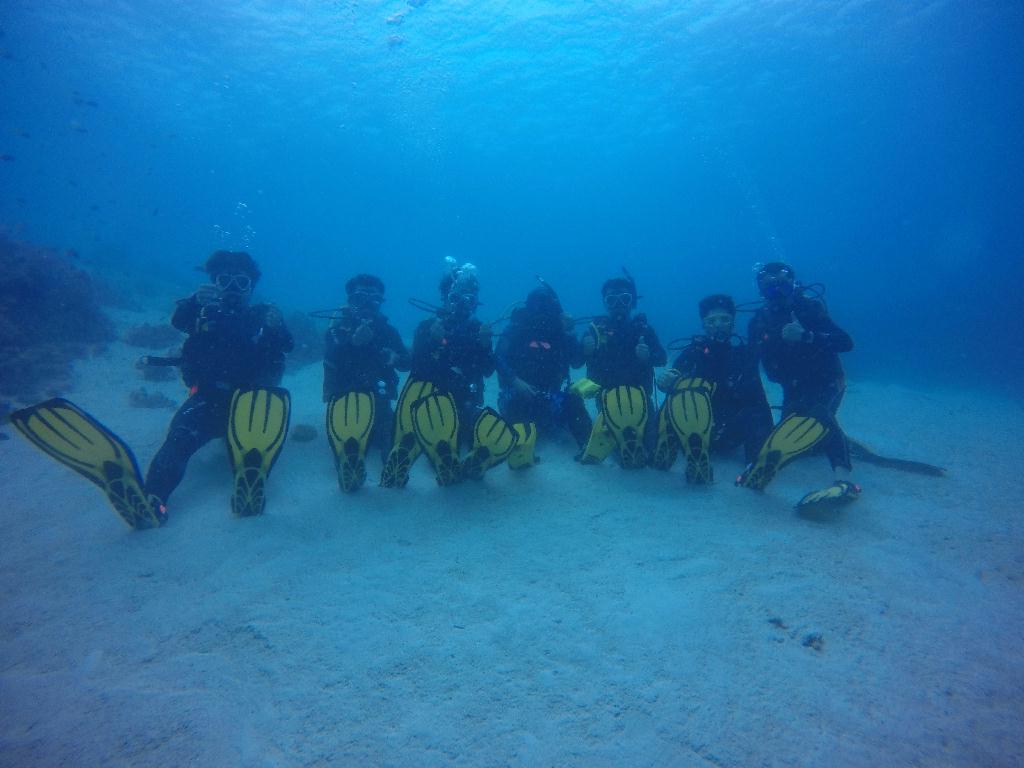 어드 피쉬식별 - 보홀 오션어스 - 노바비치