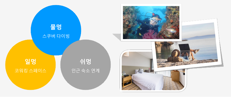 제주도 워케이션 즐기기 (한달살기)