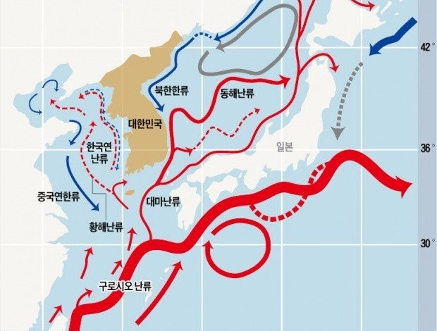 제주도 수온에 대해서