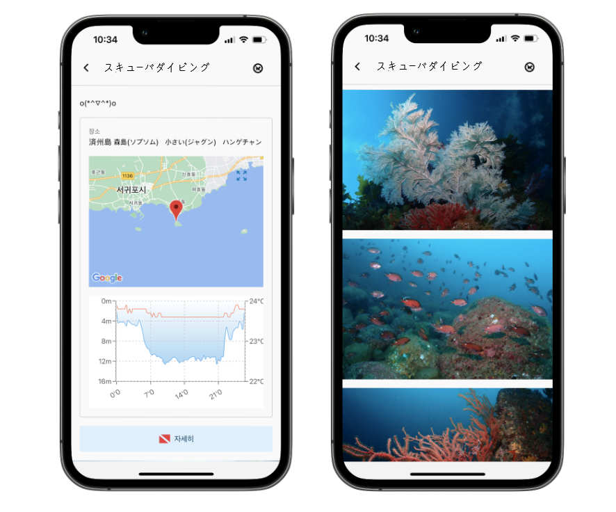 divemap_jp
