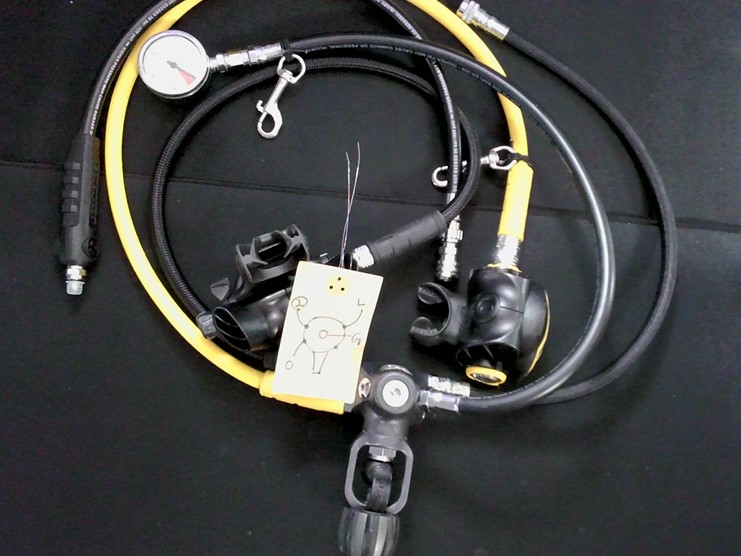 아펙스(APEKS) XTX200 - 오버홀 리포트