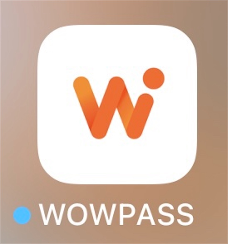 Public Transportation in Jeju Island (WOWPASS & T-money)
