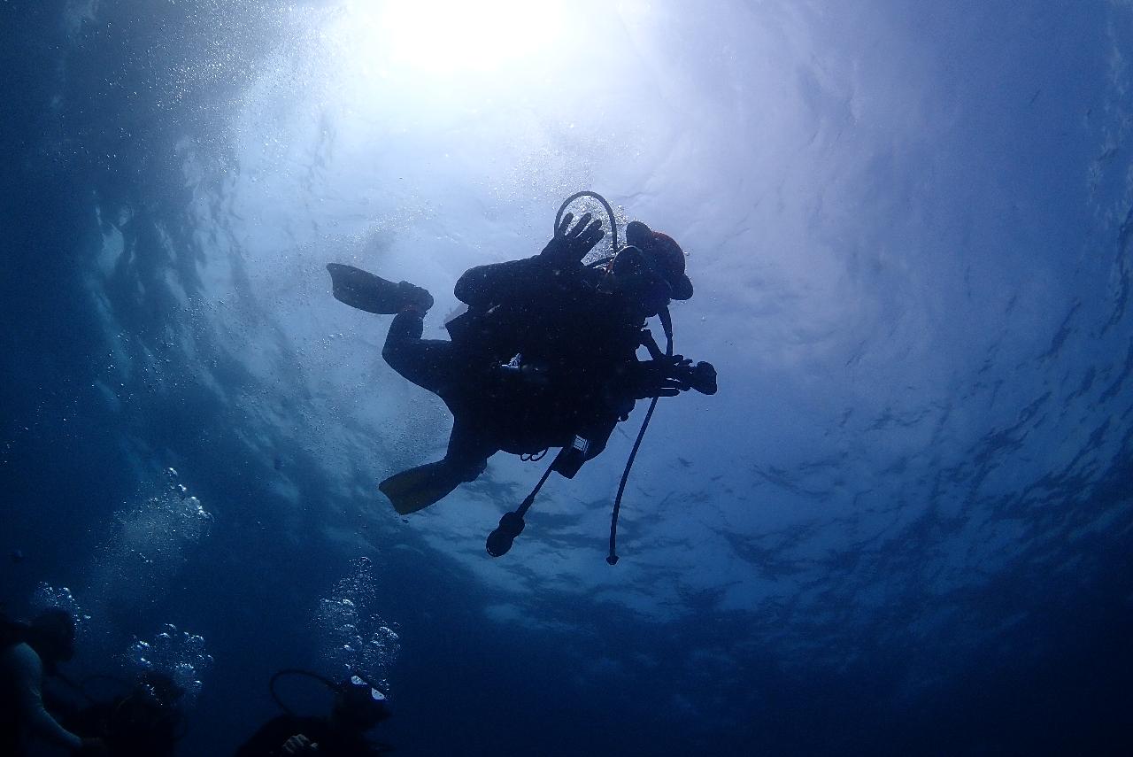 4️⃣ Limitations to Understand in Jeju Diving