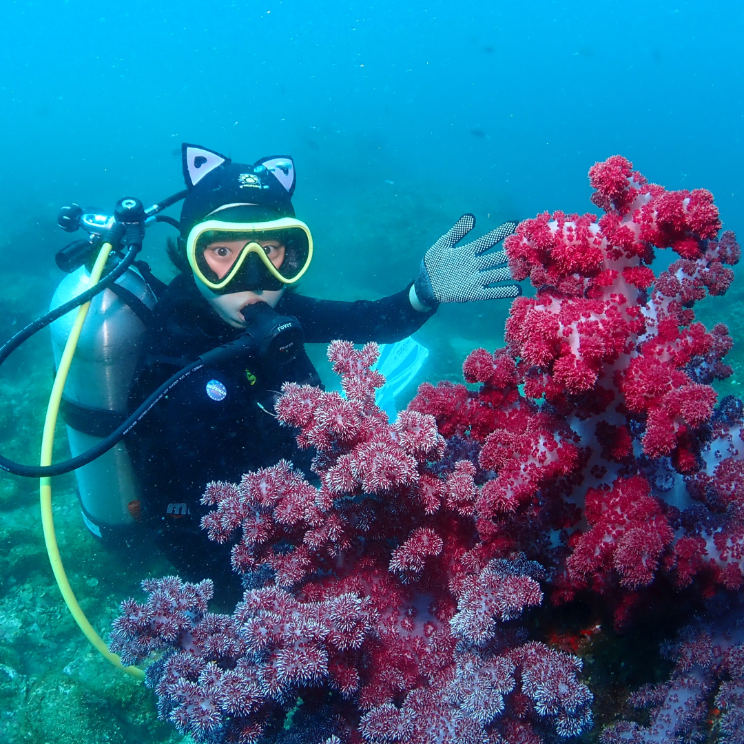 A Scuba Diving Guide for Cruise Travelers Visiting Jeju
