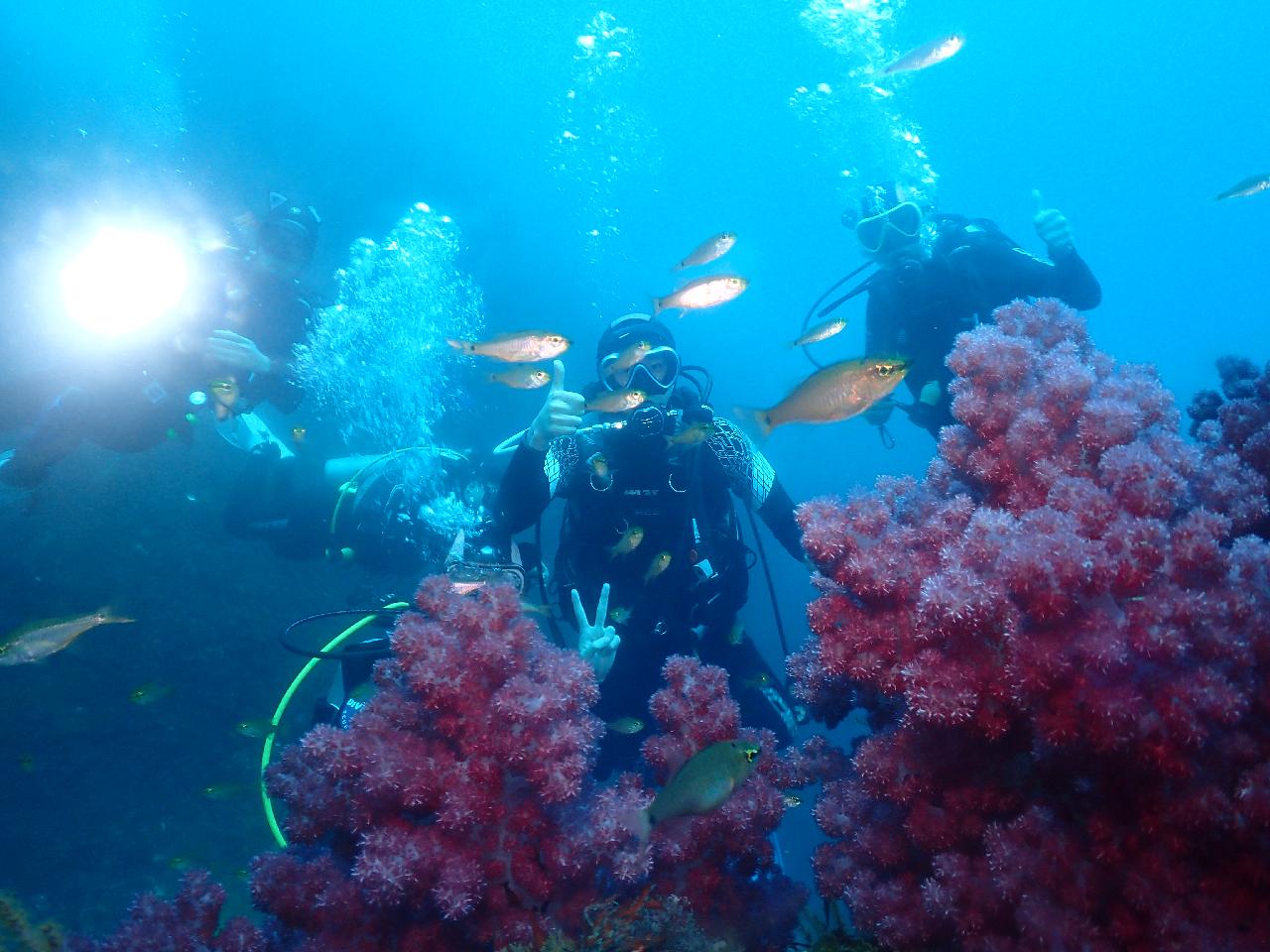 5 Scuba Diving Teammates from Osaka – The Breathtaking Underwater View of Jeju Sea After the Rain