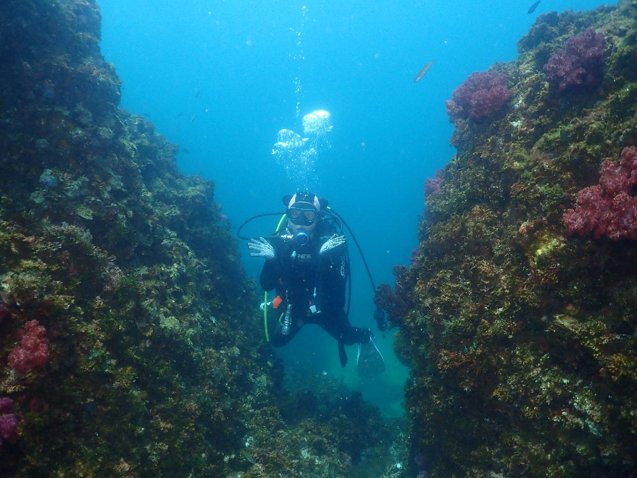 Sisters Who Love Diving in Hong Kong