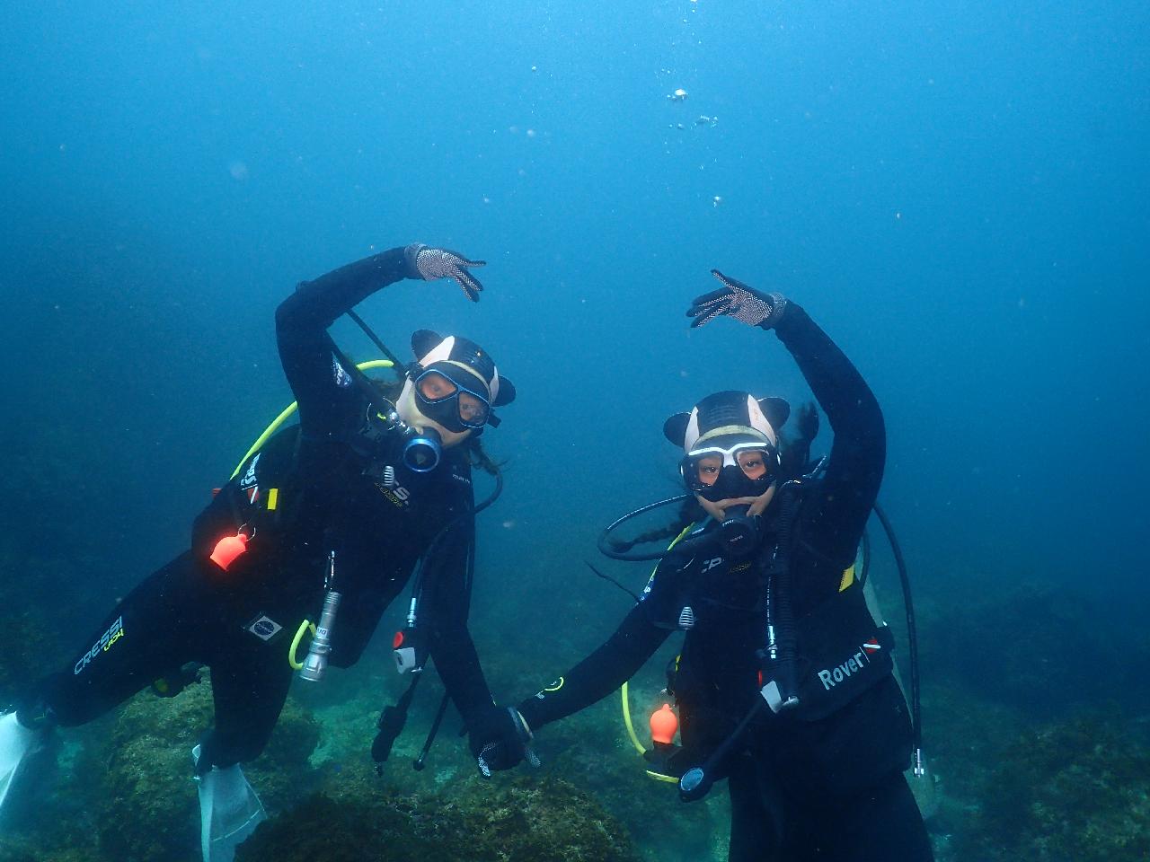 Japanese Sister Divers from Hong Kong Discover an Unexpected Charm in Jeju