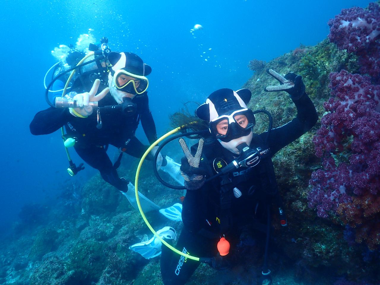 Jeju Scuba Diving – The Story of an Underwater Exploration Team That Insists on 1:1