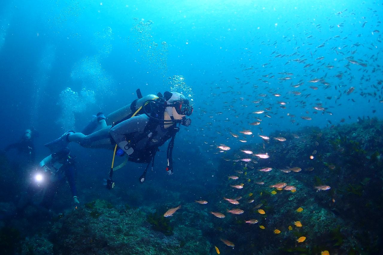 Enjoying the Underwater World at Your Own Pace