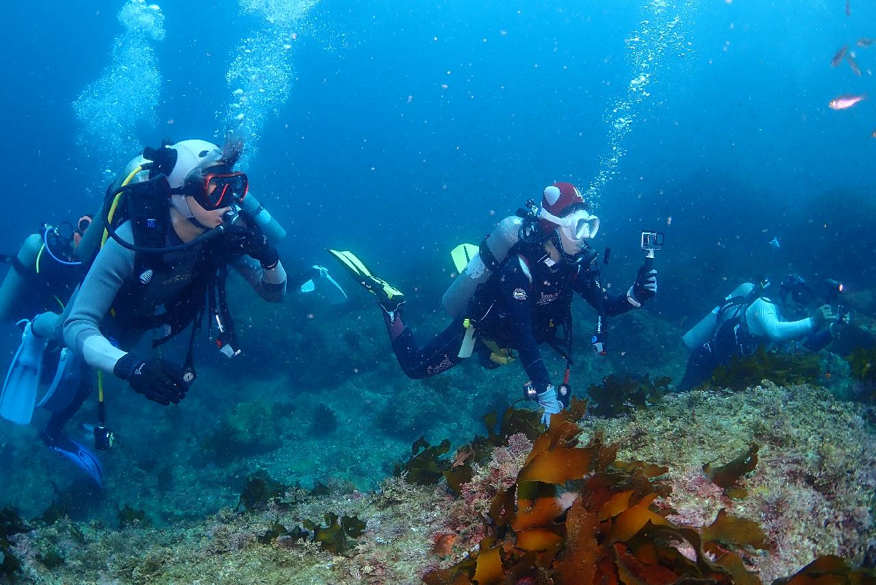 済州島の海で出会う、ちょっと特別なダイビング