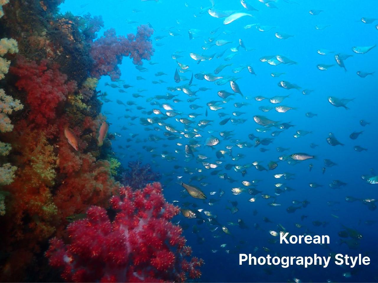 Japanese Underwater Photography: Capturing the Ocean in Soft, Pastel Dreams