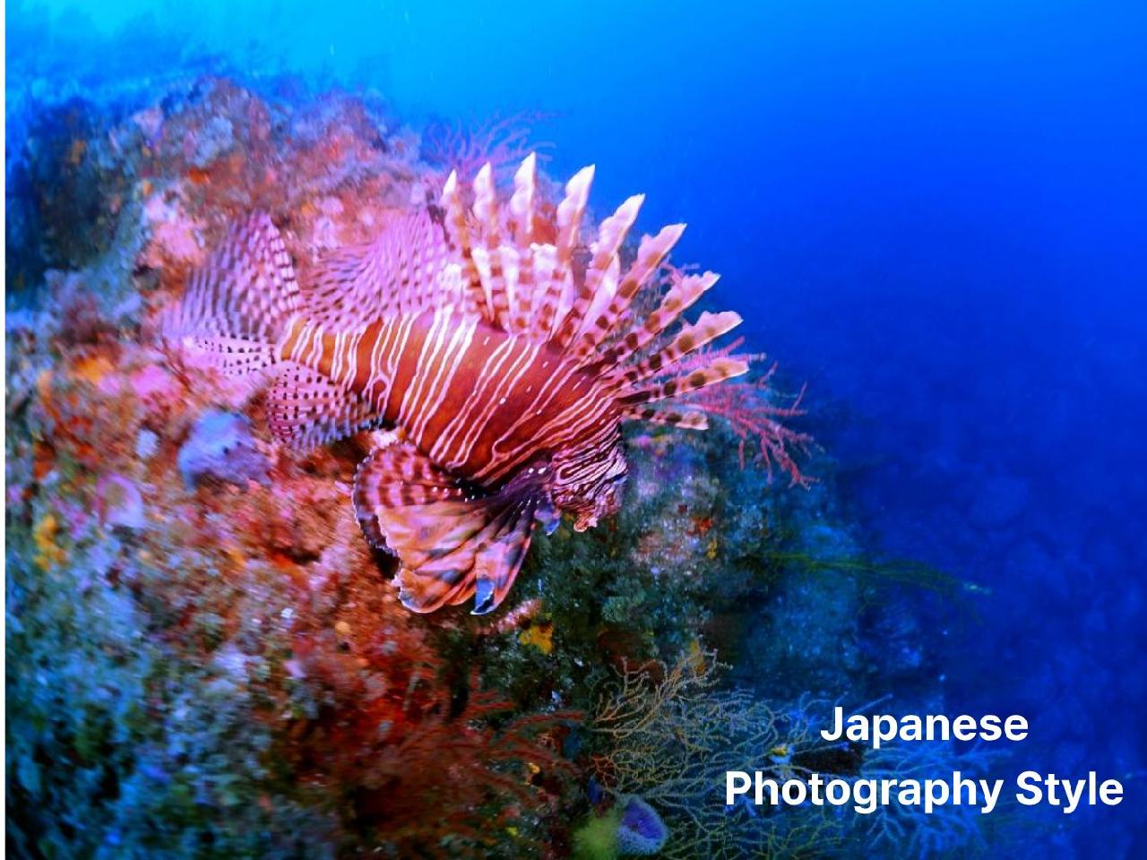 Two Perspectives on the Ocean