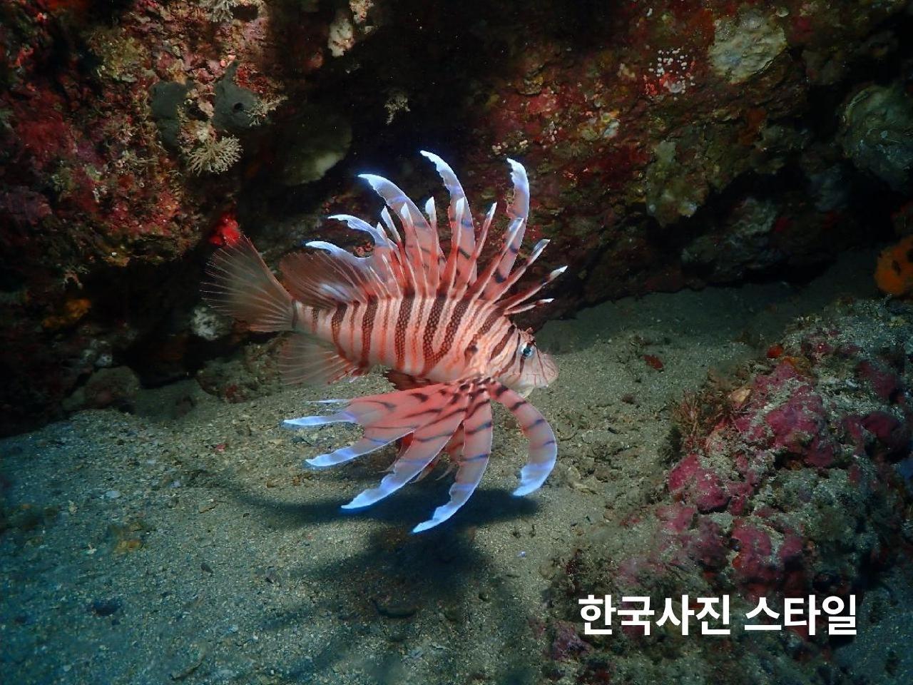 바다를 담는 2개의 시선